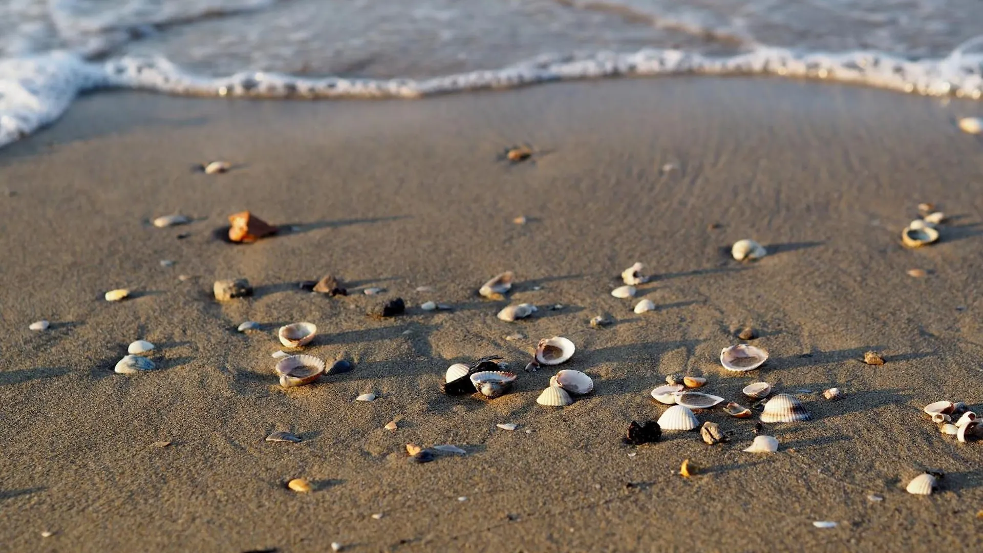 Lejlighed Resort Near Bibione Beach And Thermae - Beahost Italien